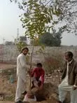 Green Seekers Activity